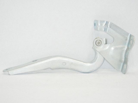 Picture of HINGE HOOD
