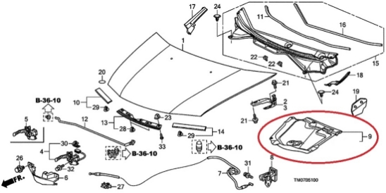 City 2009 Insulator Hood Genuine GM2