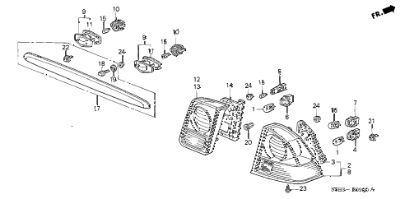 Diggi Moulding Genuine CF1	